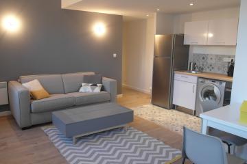 Appartement Studio grey